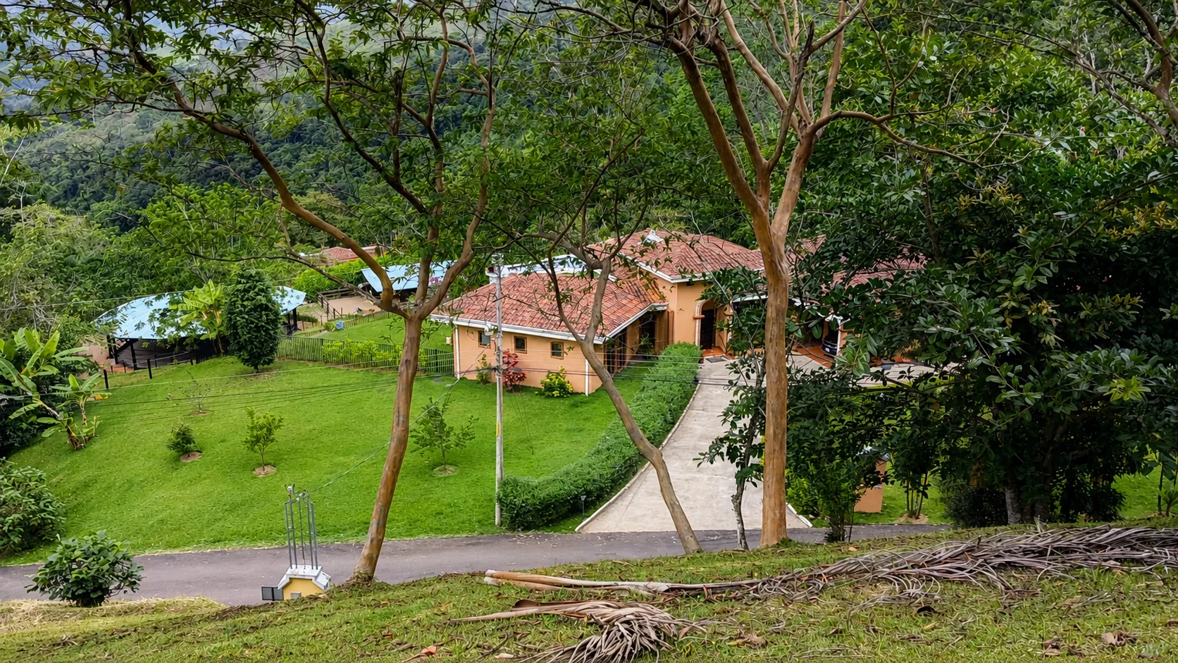 House and grounds overview