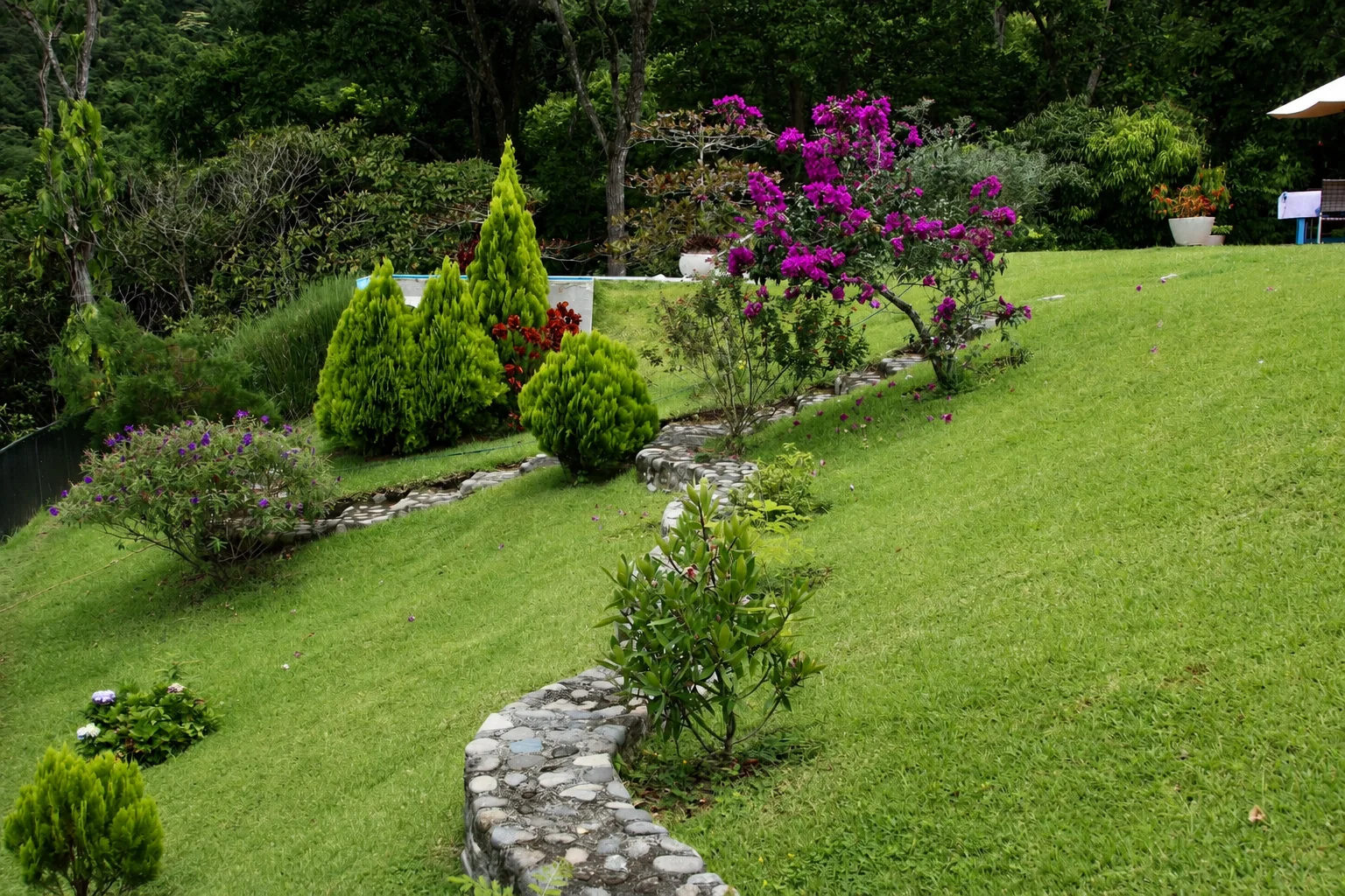 Landscaped garden