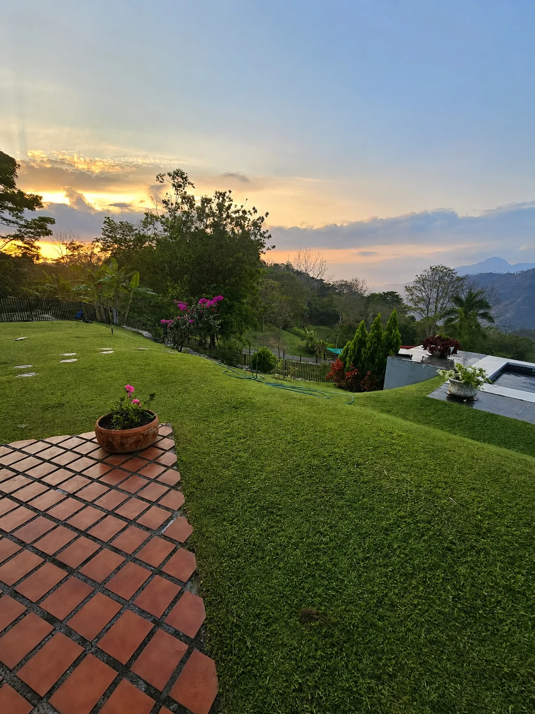 Garden at sunset